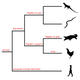 Illustration for article titled An example of biological nomenclatural confusion